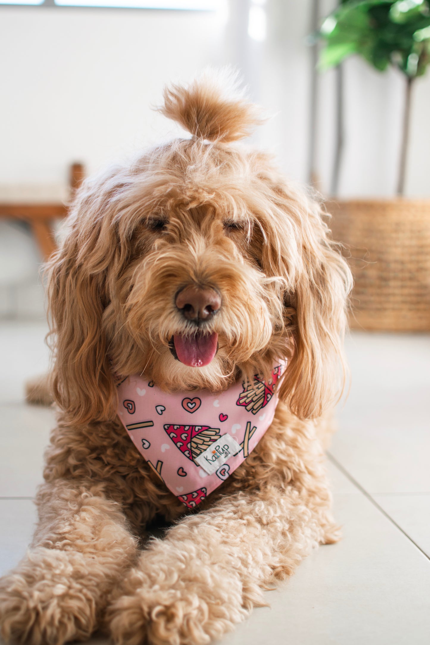 Kai Pup Limited Edition Valentines Bandanas - Fries Be4 Guys