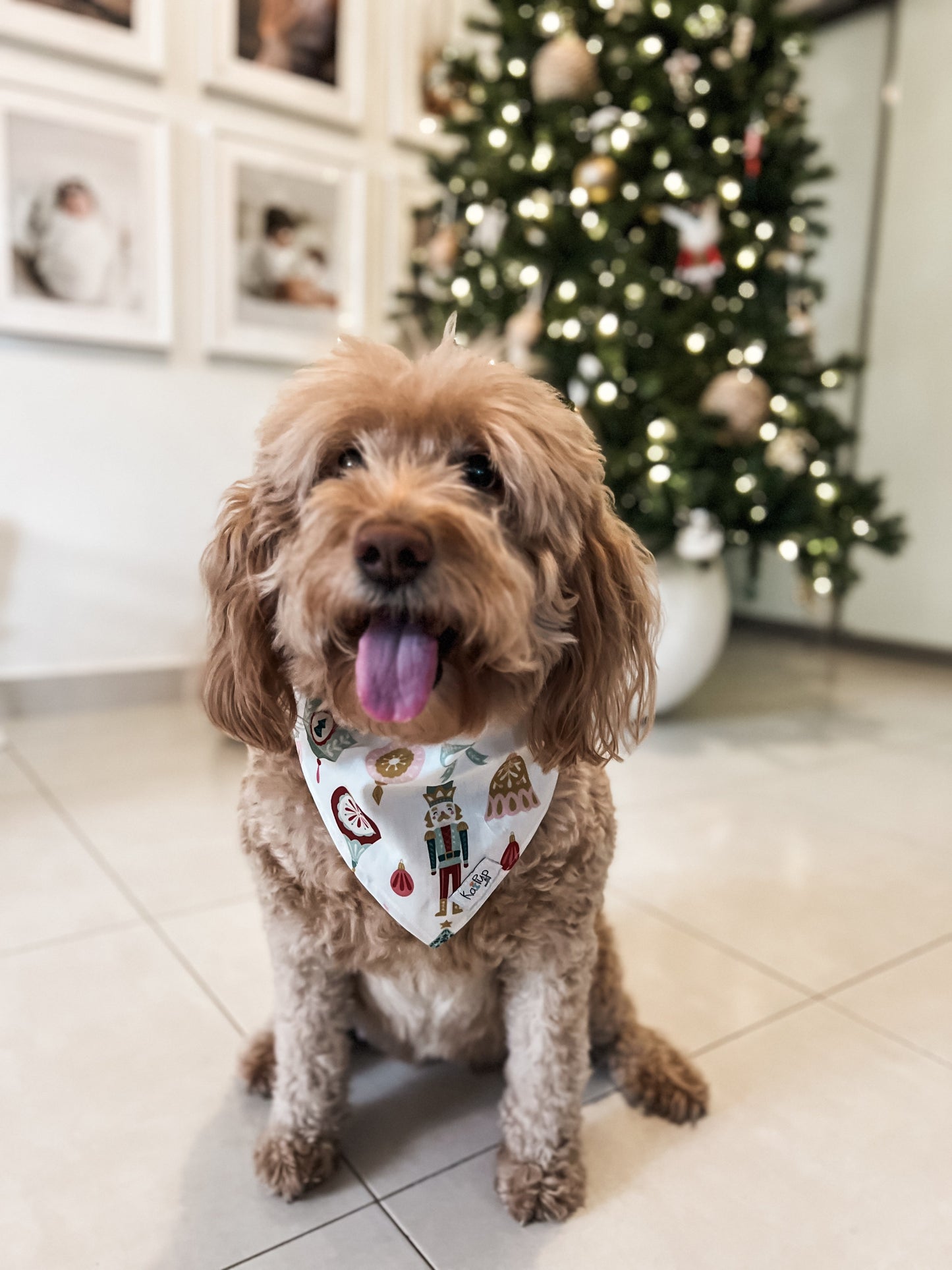 Kai Pup Limited Edition Christmas Bandanas - Nutcrackers